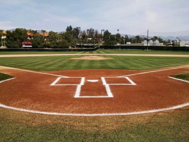 a3bf23_ee4ed7ca469a45e3a3d78ec0baf9057c~mv2