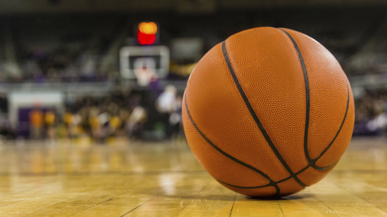 a3bf23_fcbde3ff5ae349c5824a08413b2462b5~mv2